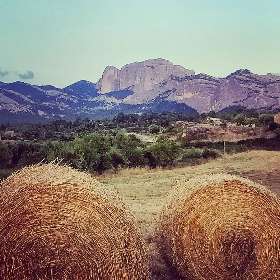 Les Valletes Arnés المظهر الخارجي الصورة